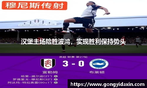汉堡主场险胜波鸿，实现胜利保持势头